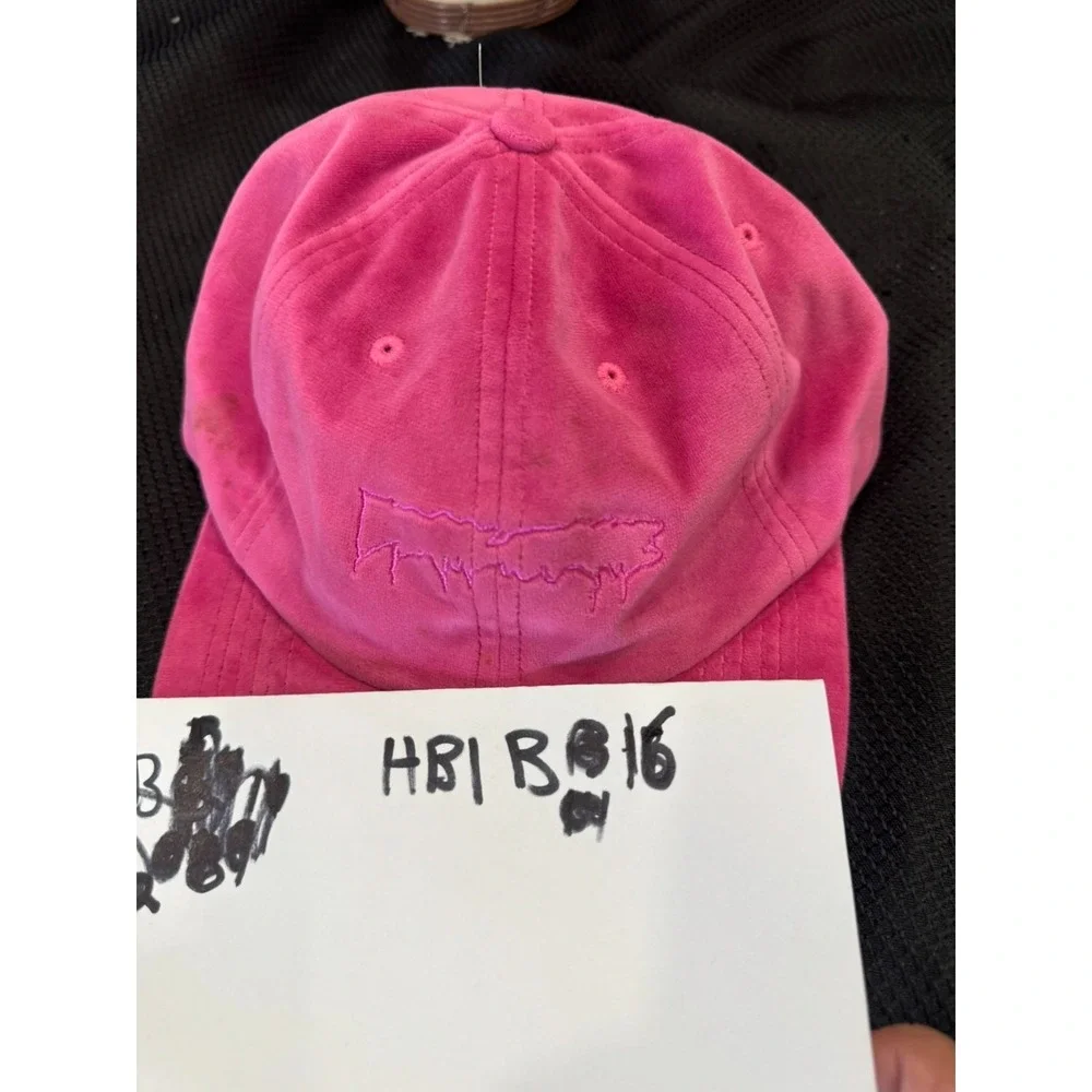 FA Entertainment Official Pink suede-look cap Cap.